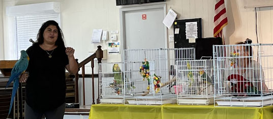 Parrot Outreach