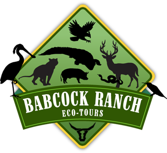 eco tours