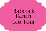 Babcock Ranch Eco Tour